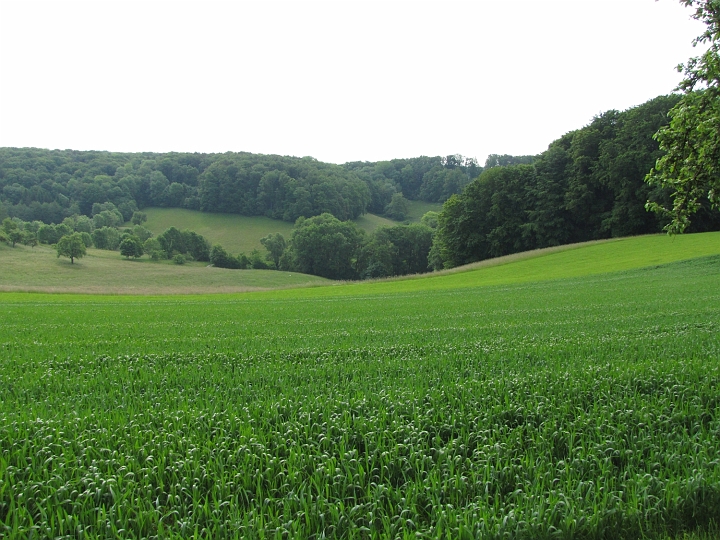 Wanderung 2013_009.jpg